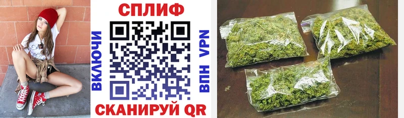 где купить наркоту  Вилючинск  МАРИХУАНА VHQ 